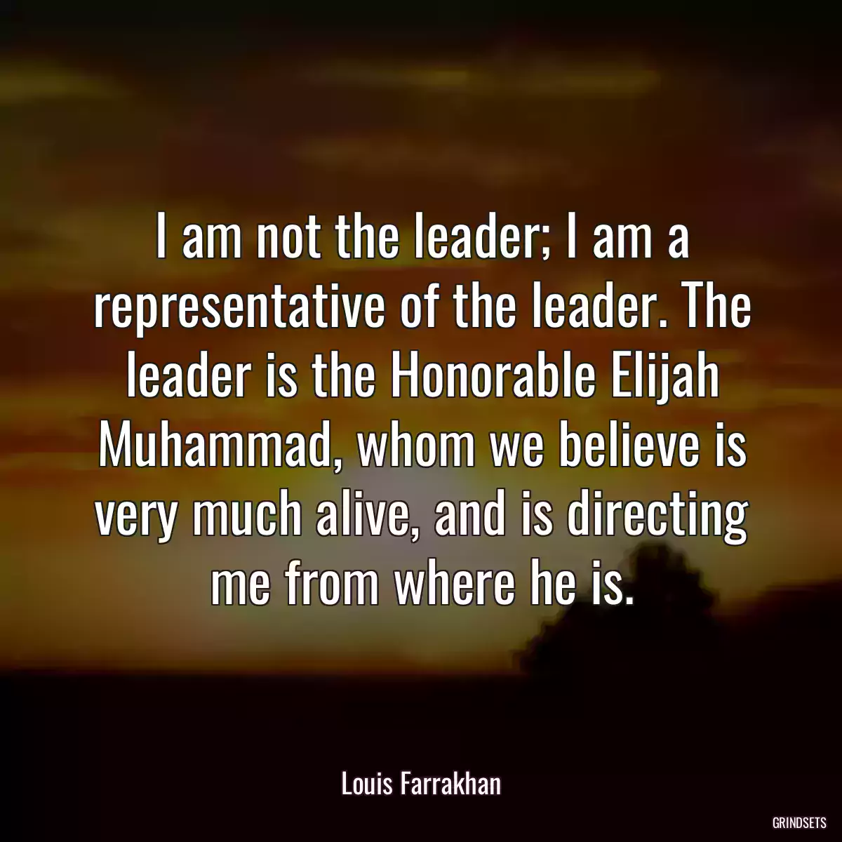 I am not the leader; I am a representative of the leader. The leader is the Honorable Elijah Muhammad, whom we believe is very much alive, and is directing me from where he is.