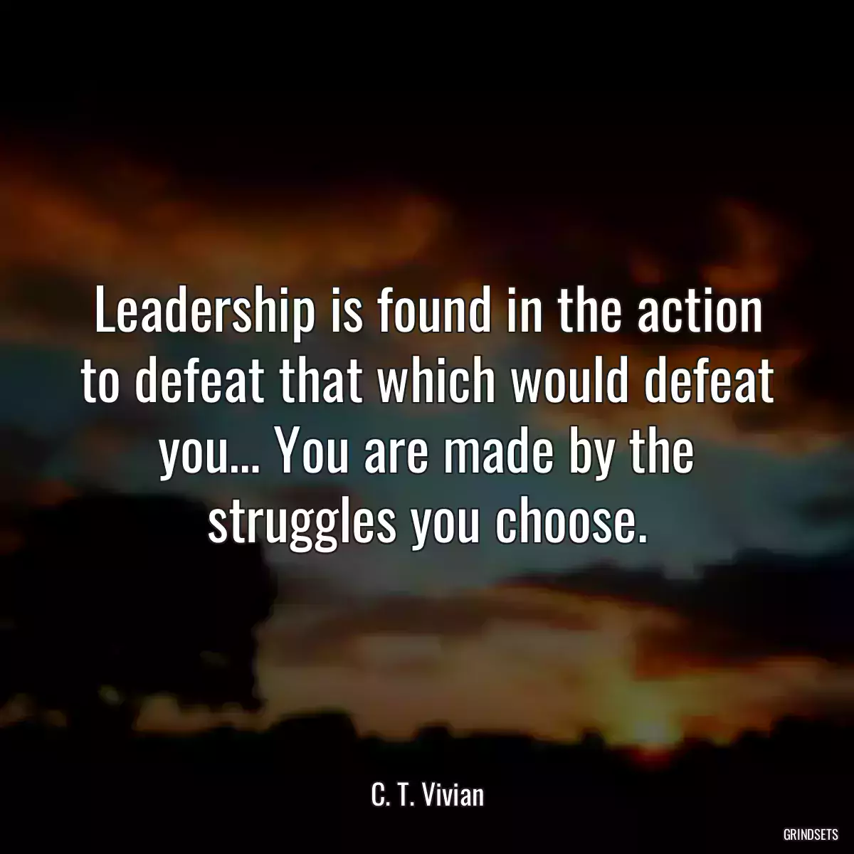 Leadership is found in the action to defeat that which would defeat you… You are made by the struggles you choose.