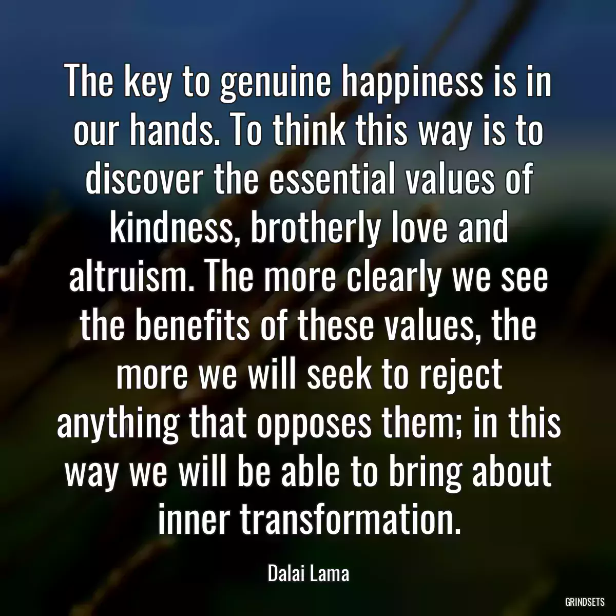 The key to genuine happiness is in our hands. To think this way is to discover the essential values of kindness, brotherly love and altruism. The more clearly we see the benefits of these values, the more we will seek to reject anything that opposes them; in this way we will be able to bring about inner transformation.