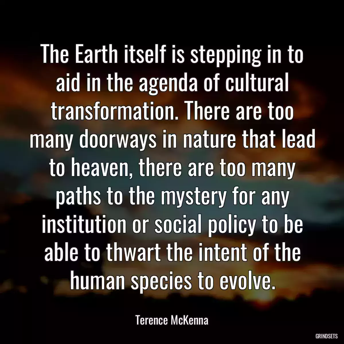 The Earth itself is stepping in to aid in the agenda of cultural transformation. There are too many doorways in nature that lead to heaven, there are too many paths to the mystery for any institution or social policy to be able to thwart the intent of the human species to evolve.