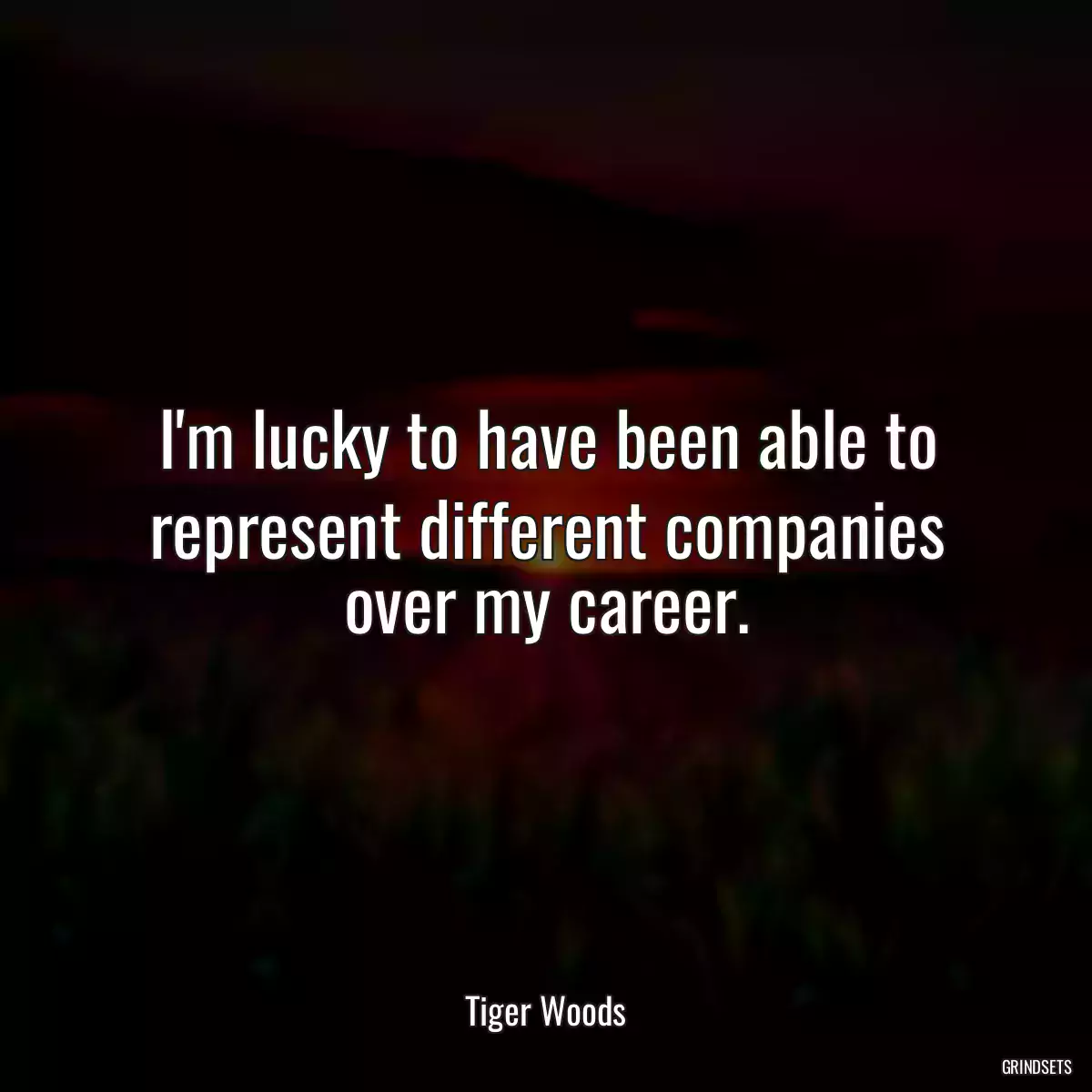 I\'m lucky to have been able to represent different companies over my career.