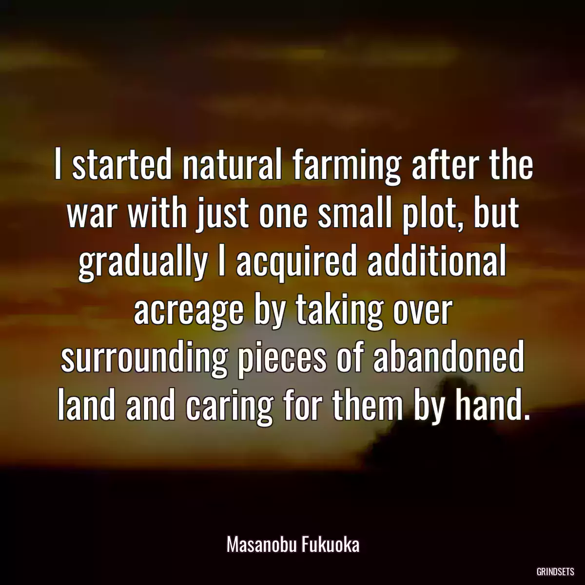 I started natural farming after the war with just one small plot, but gradually I acquired additional acreage by taking over surrounding pieces of abandoned land and caring for them by hand.