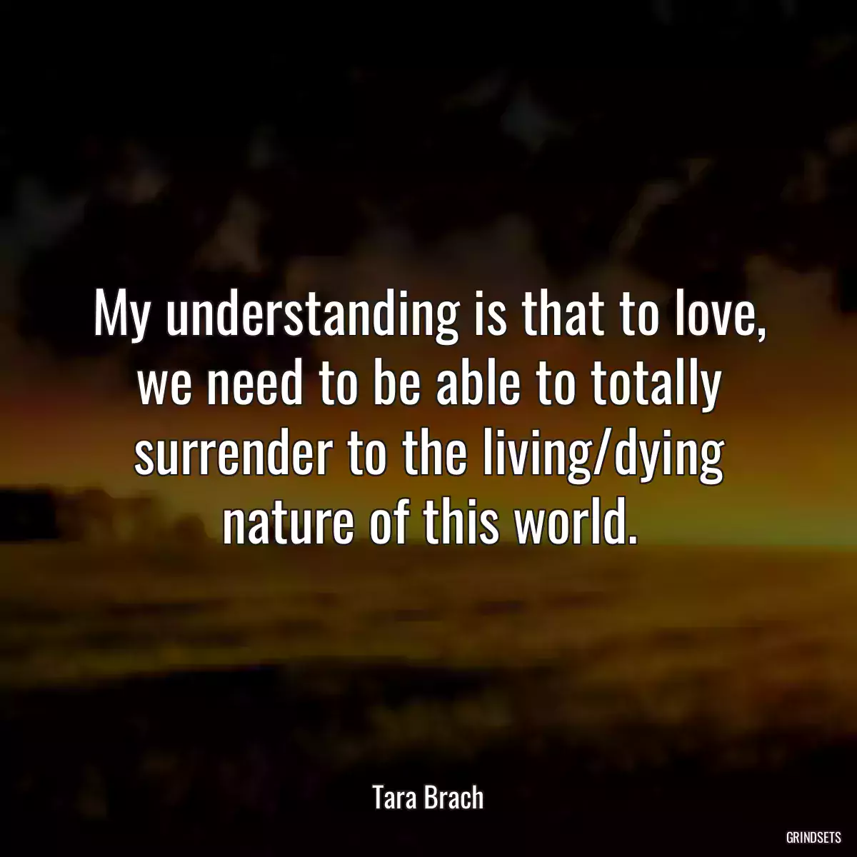 My understanding is that to love, we need to be able to totally surrender to the living/dying nature of this world.