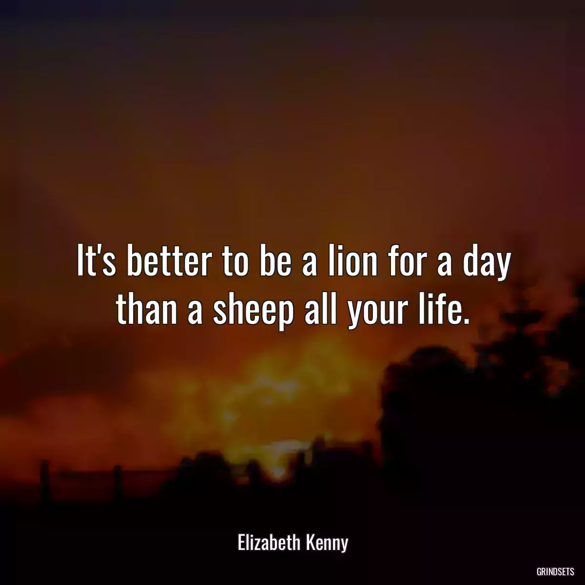 It\'s better to be a lion for a day than a sheep all your life.