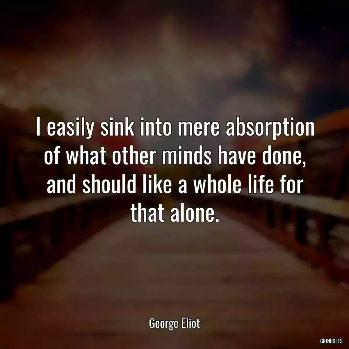 I easily sink into mere absorption of what other minds have done, and should like a whole life for that alone.