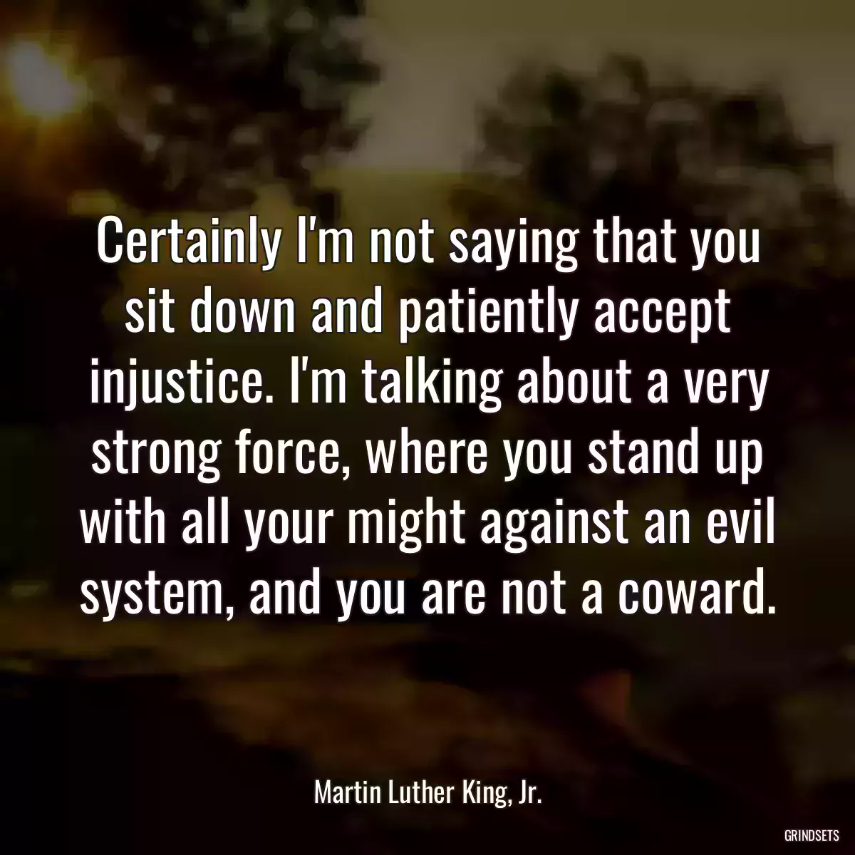 Certainly I\'m not saying that you sit down and patiently accept injustice. I\'m talking about a very strong force, where you stand up with all your might against an evil system, and you are not a coward.