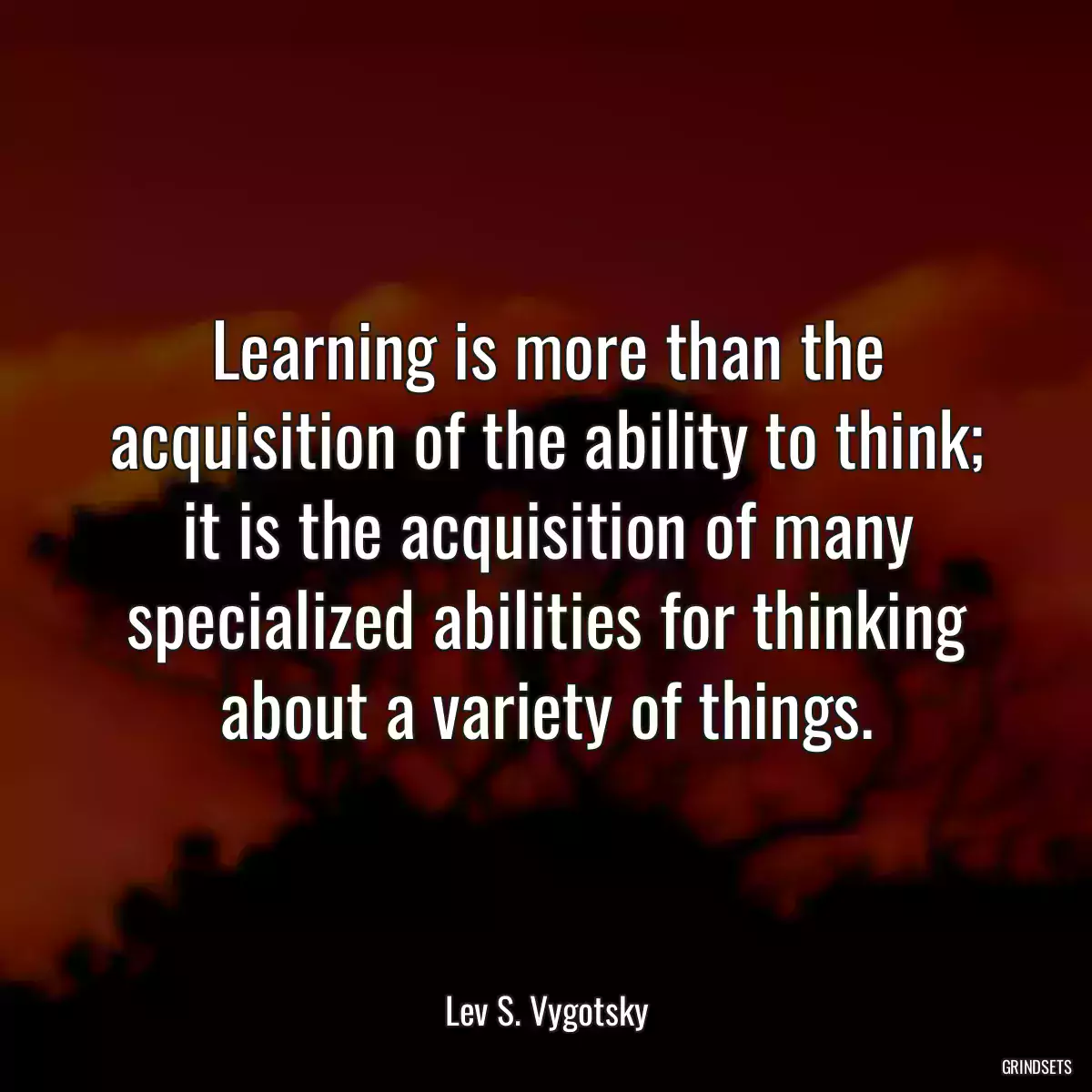 Learning is more than the acquisition of the ability to think; it is the acquisition of many specialized abilities for thinking about a variety of things.