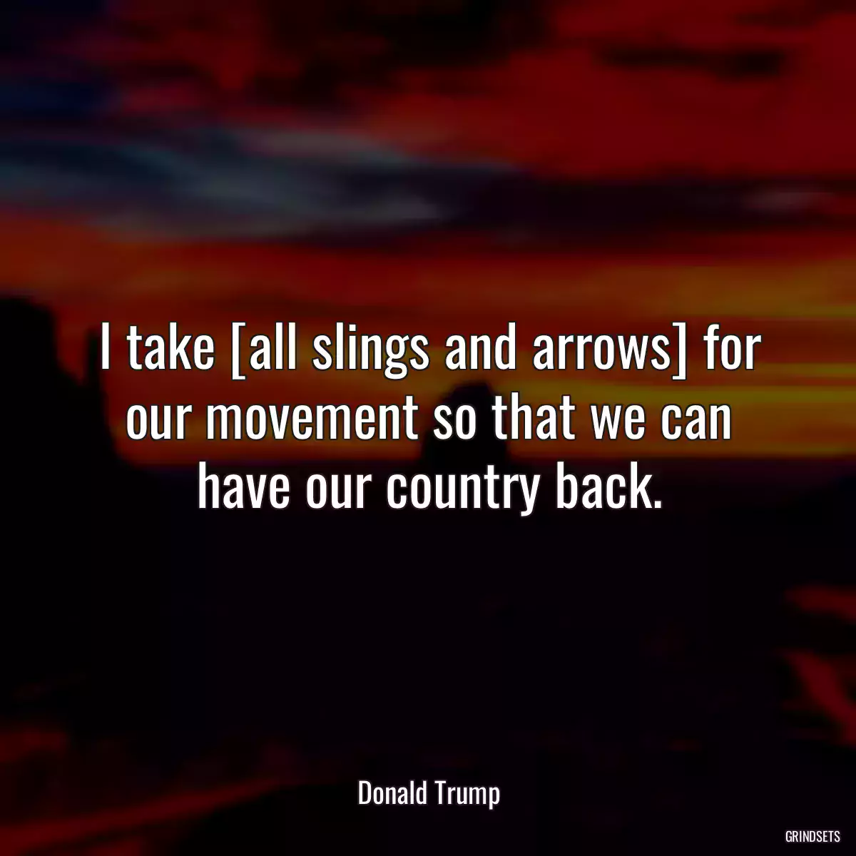 I take [all slings and arrows] for our movement so that we can have our country back.