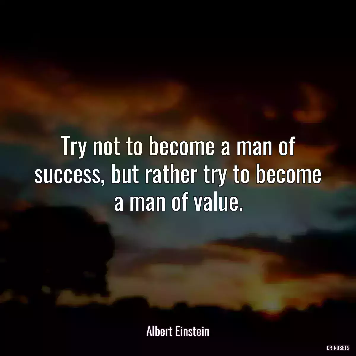 Try not to become a man of success, but rather try to become a man of value.