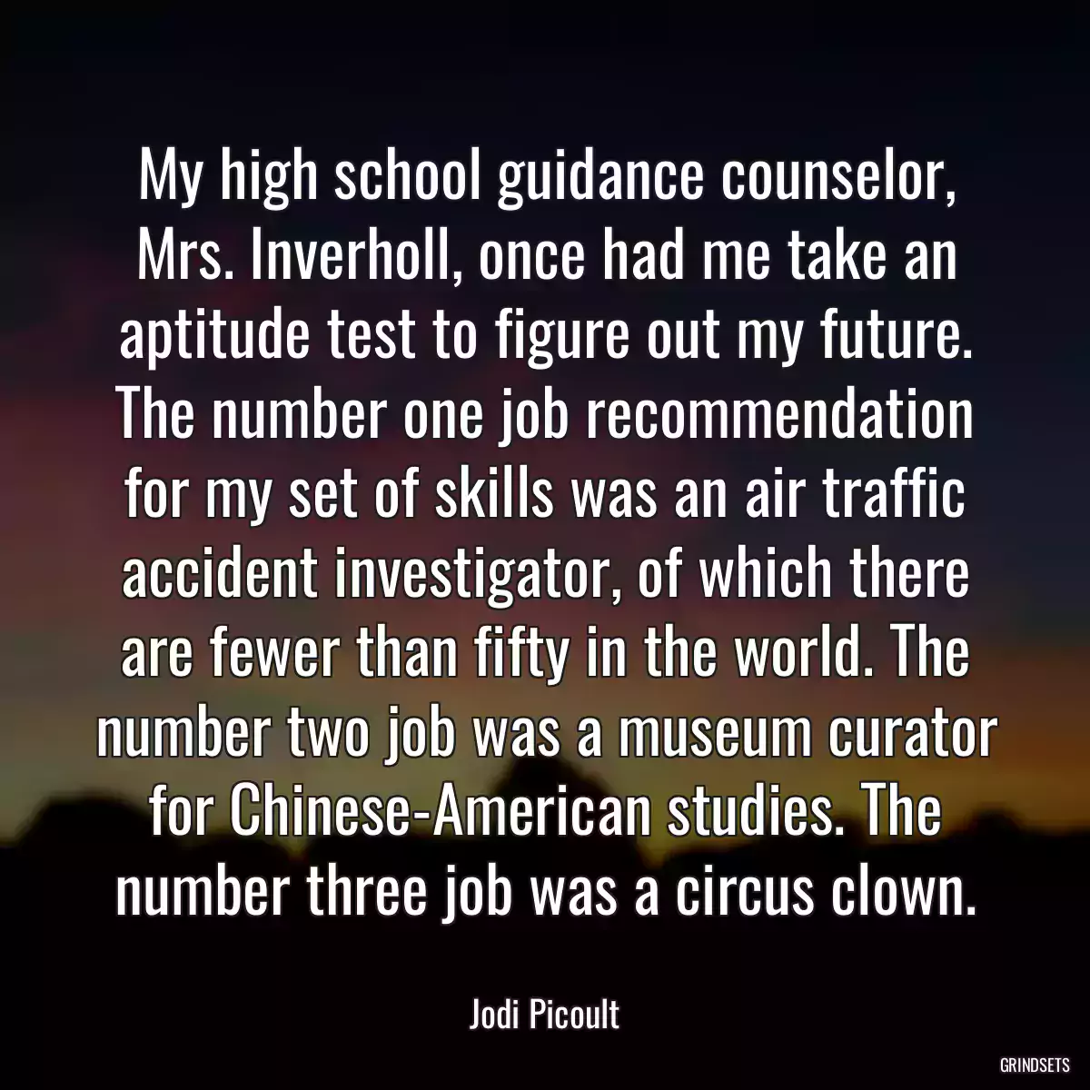 My high school guidance counselor, Mrs. Inverholl, once had me take an aptitude test to figure out my future. The number one job recommendation for my set of skills was an air traffic accident investigator, of which there are fewer than fifty in the world. The number two job was a museum curator for Chinese-American studies. The number three job was a circus clown.