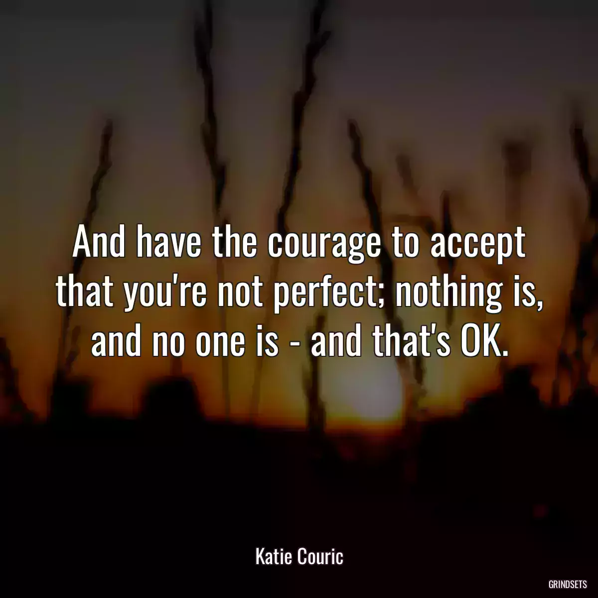 And have the courage to accept that you\'re not perfect; nothing is, and no one is - and that\'s OK.