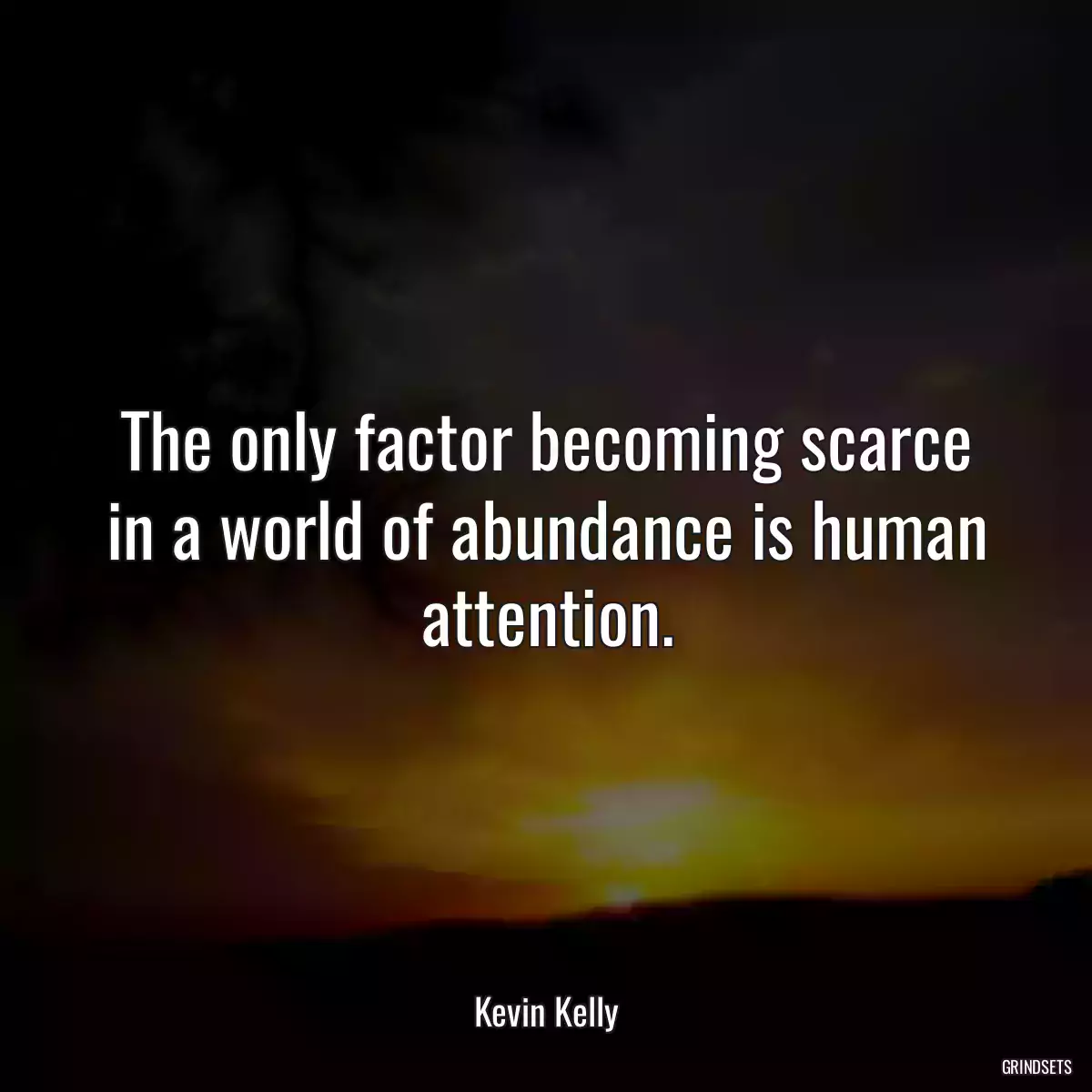 The only factor becoming scarce in a world of abundance is human attention.