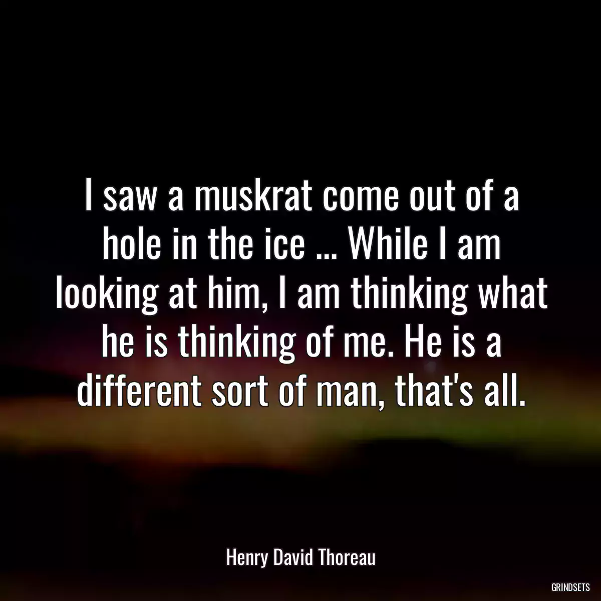 I saw a muskrat come out of a hole in the ice ... While I am looking at him, I am thinking what he is thinking of me. He is a different sort of man, that\'s all.