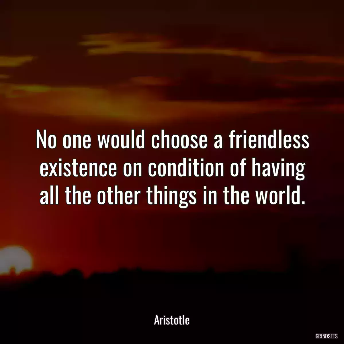 No one would choose a friendless existence on condition of having all the other things in the world.