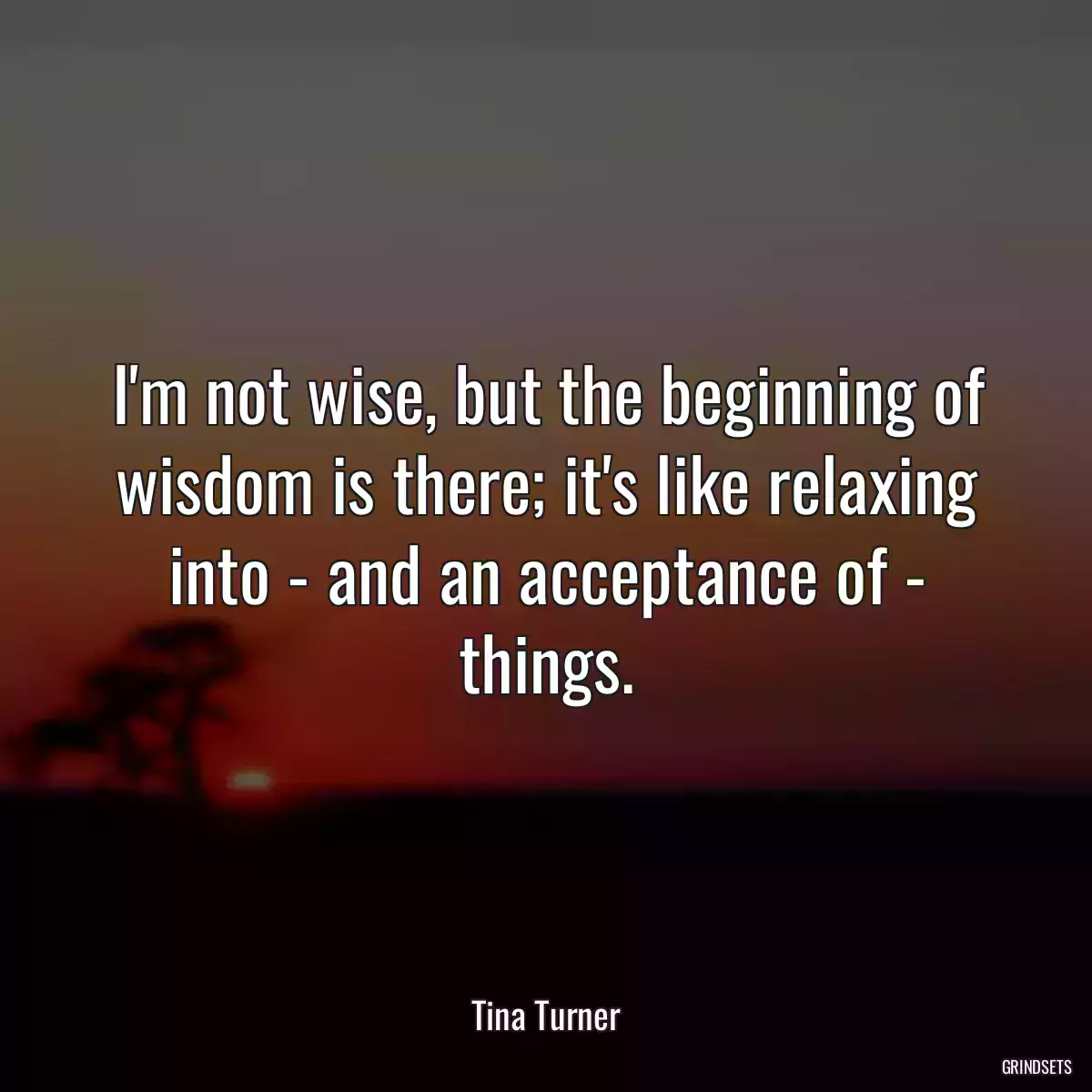 I\'m not wise, but the beginning of wisdom is there; it\'s like relaxing into - and an acceptance of - things.