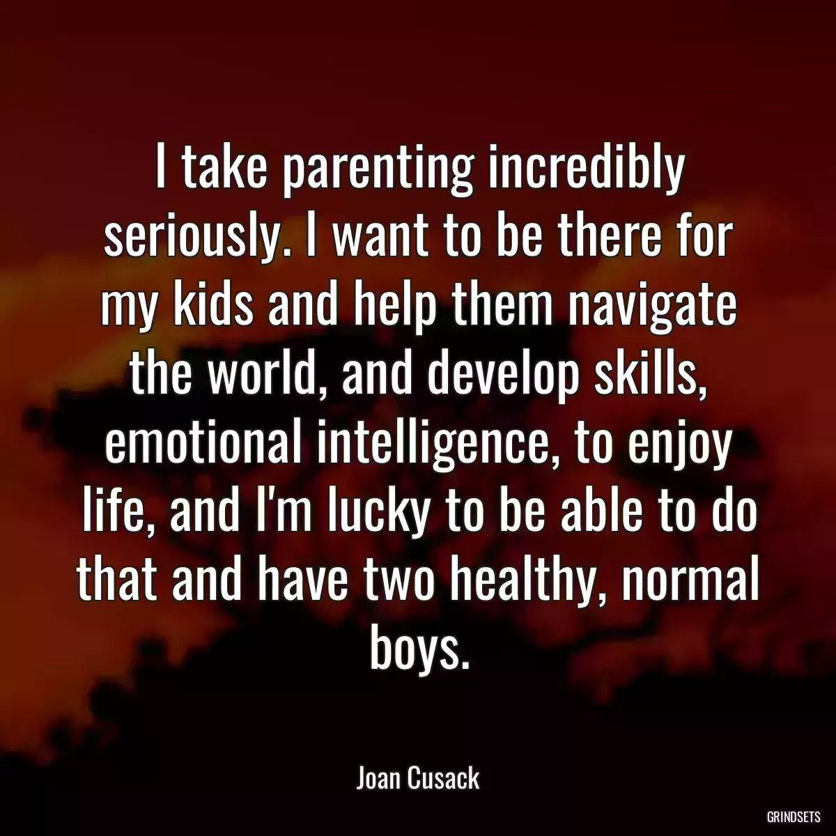 I take parenting incredibly seriously. I want to be there for my kids and help them navigate the world, and develop skills, emotional intelligence, to enjoy life, and I\'m lucky to be able to do that and have two healthy, normal boys.