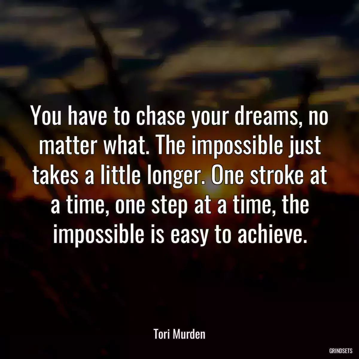 You have to chase your dreams, no matter what. The impossible just takes a little longer. One stroke at a time, one step at a time, the impossible is easy to achieve.