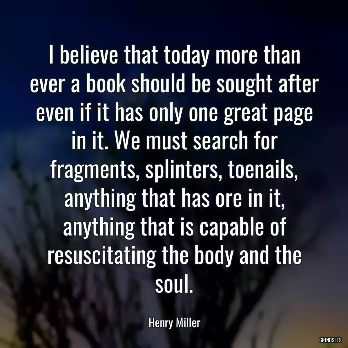 I believe that today more than ever a book should be sought after even if it has only one great page in it. We must search for fragments, splinters, toenails, anything that has ore in it, anything that is capable of resuscitating the body and the soul.