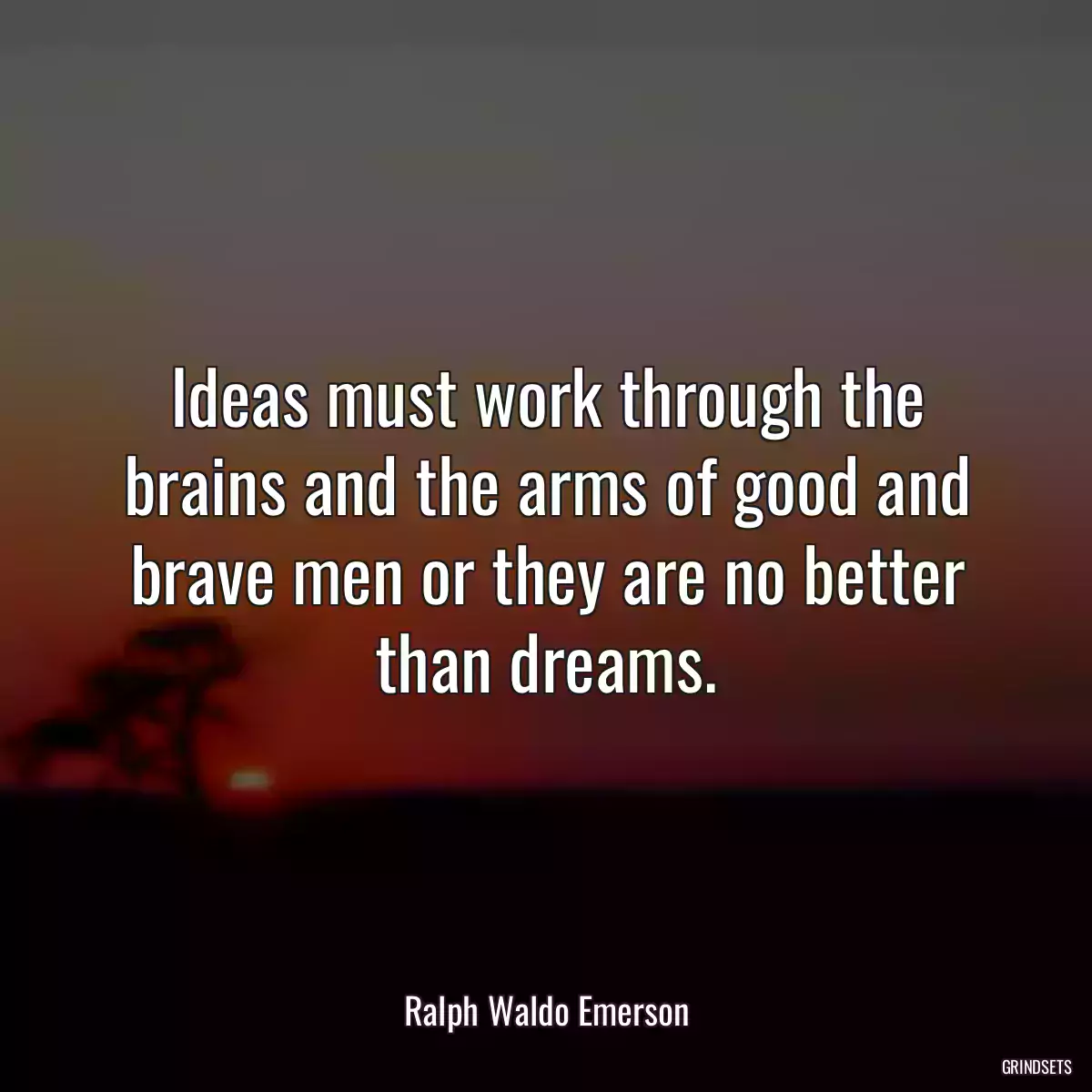 Ideas must work through the brains and the arms of good and brave men or they are no better than dreams.