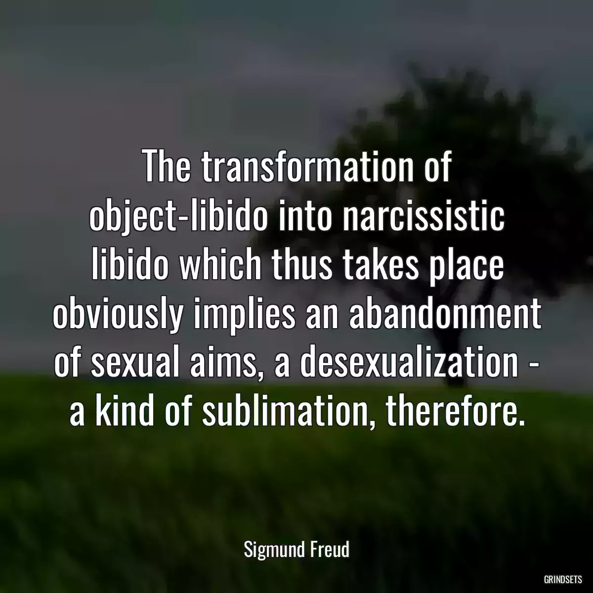 The transformation of object-libido into narcissistic libido which thus takes place obviously implies an abandonment of sexual aims, a desexualization - a kind of sublimation, therefore.