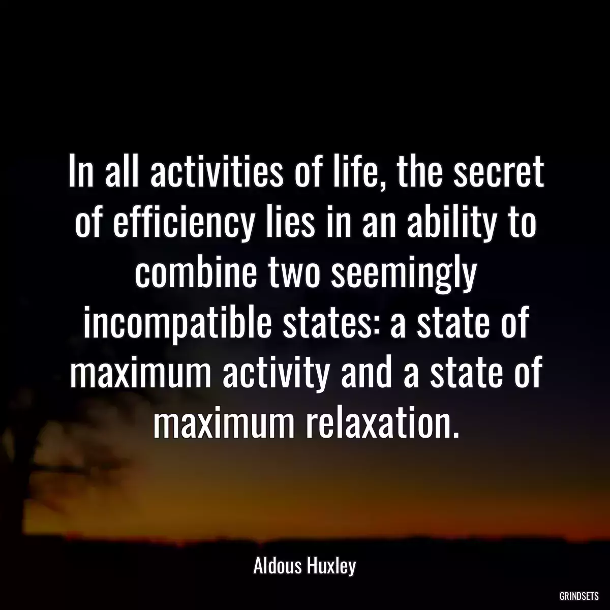 In all activities of life, the secret of efficiency lies in an ability to combine two seemingly incompatible states: a state of maximum activity and a state of maximum relaxation.