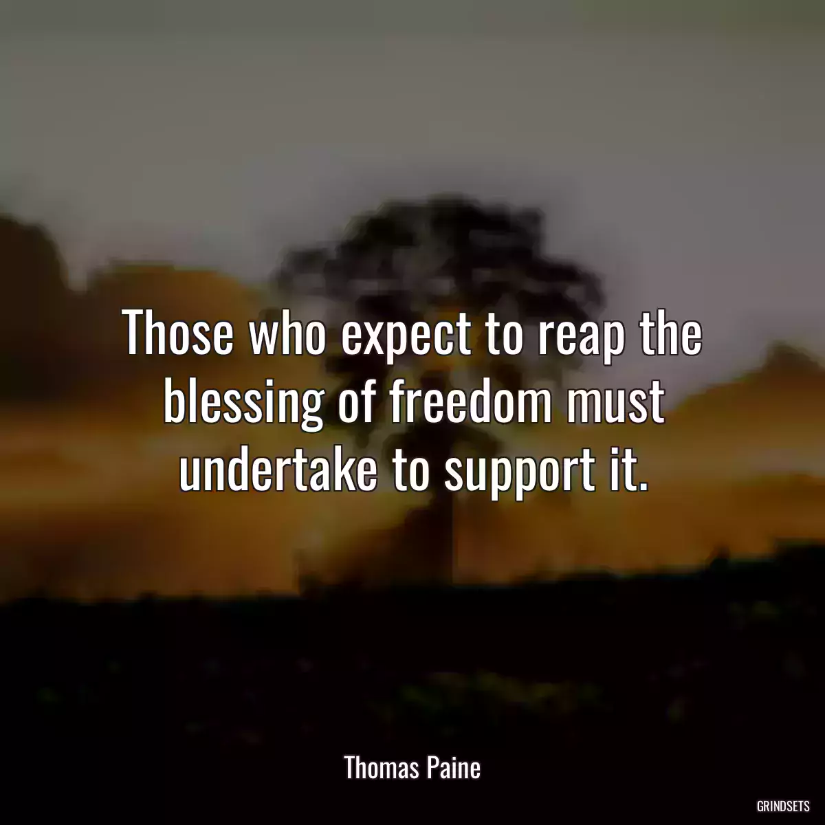 Those who expect to reap the blessing of freedom must undertake to support it.