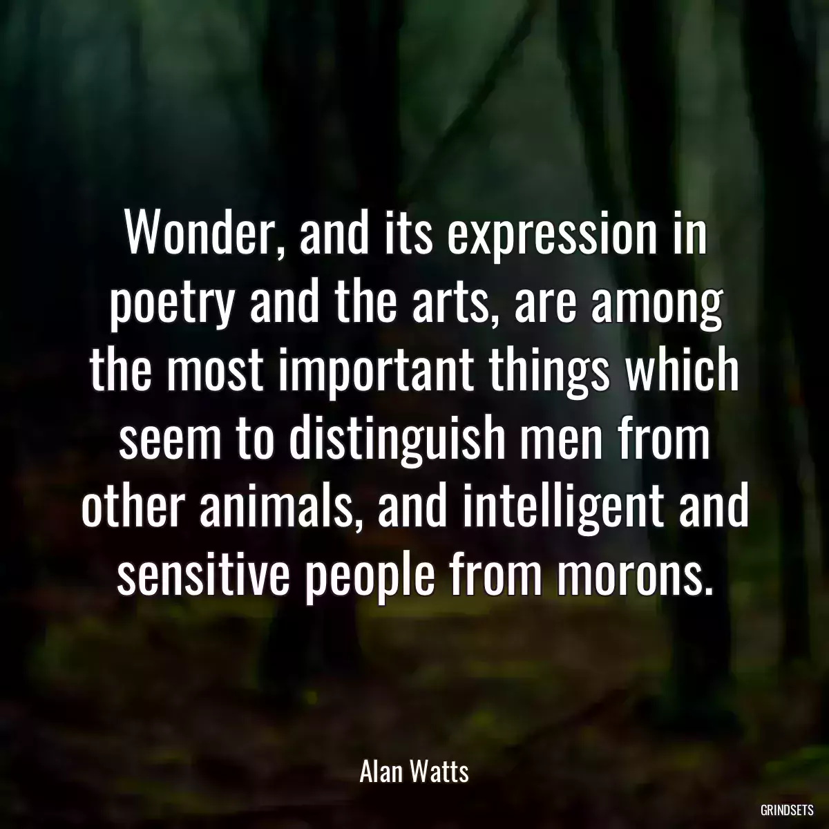 Wonder, and its expression in poetry and the arts, are among the most important things which seem to distinguish men from other animals, and intelligent and sensitive people from morons.