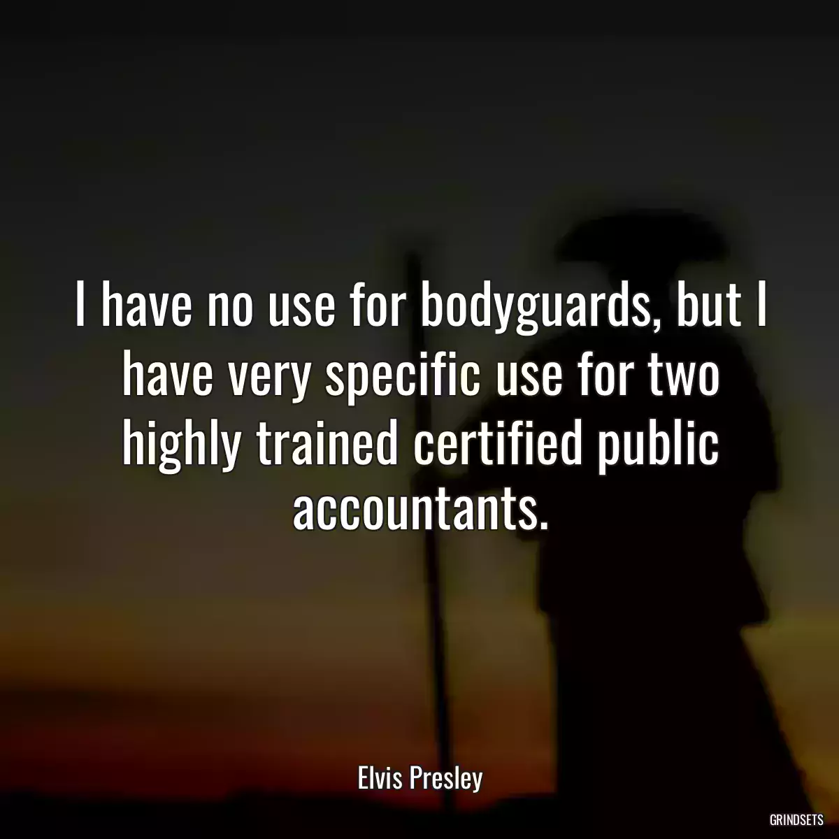 I have no use for bodyguards, but I have very specific use for two highly trained certified public accountants.