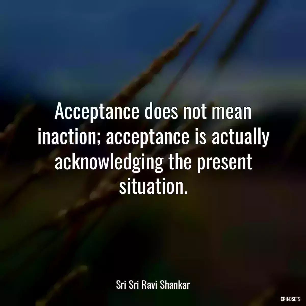 Acceptance does not mean inaction; acceptance is actually acknowledging the present situation.