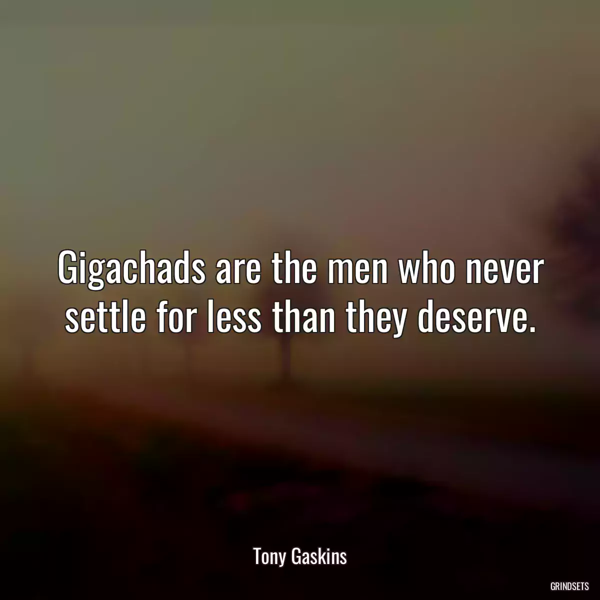 Gigachads are the men who never settle for less than they deserve.