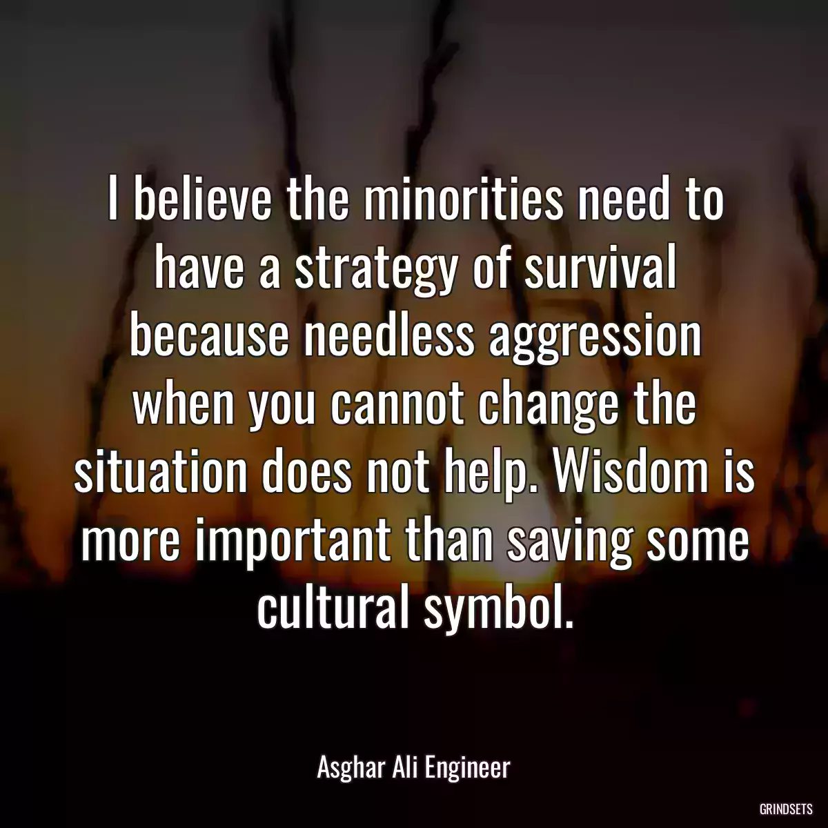 I believe the minorities need to have a strategy of survival because needless aggression when you cannot change the situation does not help. Wisdom is more important than saving some cultural symbol.