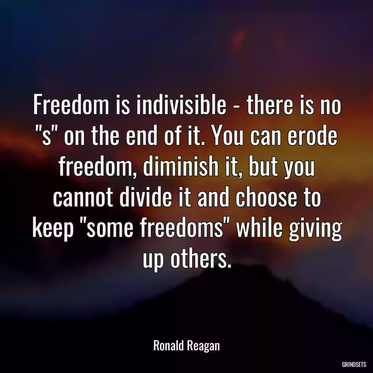 Freedom is indivisible - there is no \