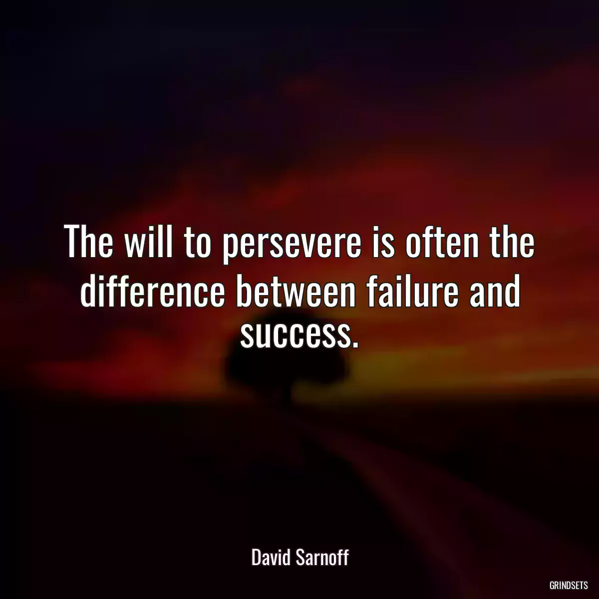 The will to persevere is often the difference between failure and success.