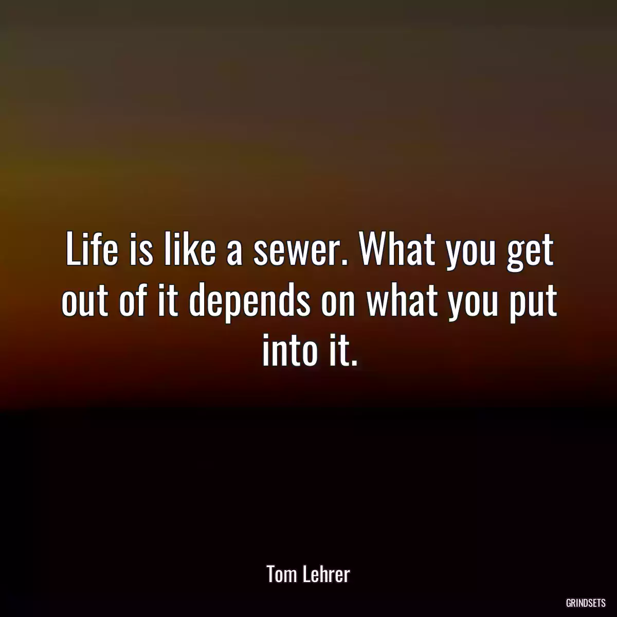 Life is like a sewer. What you get out of it depends on what you put into it.