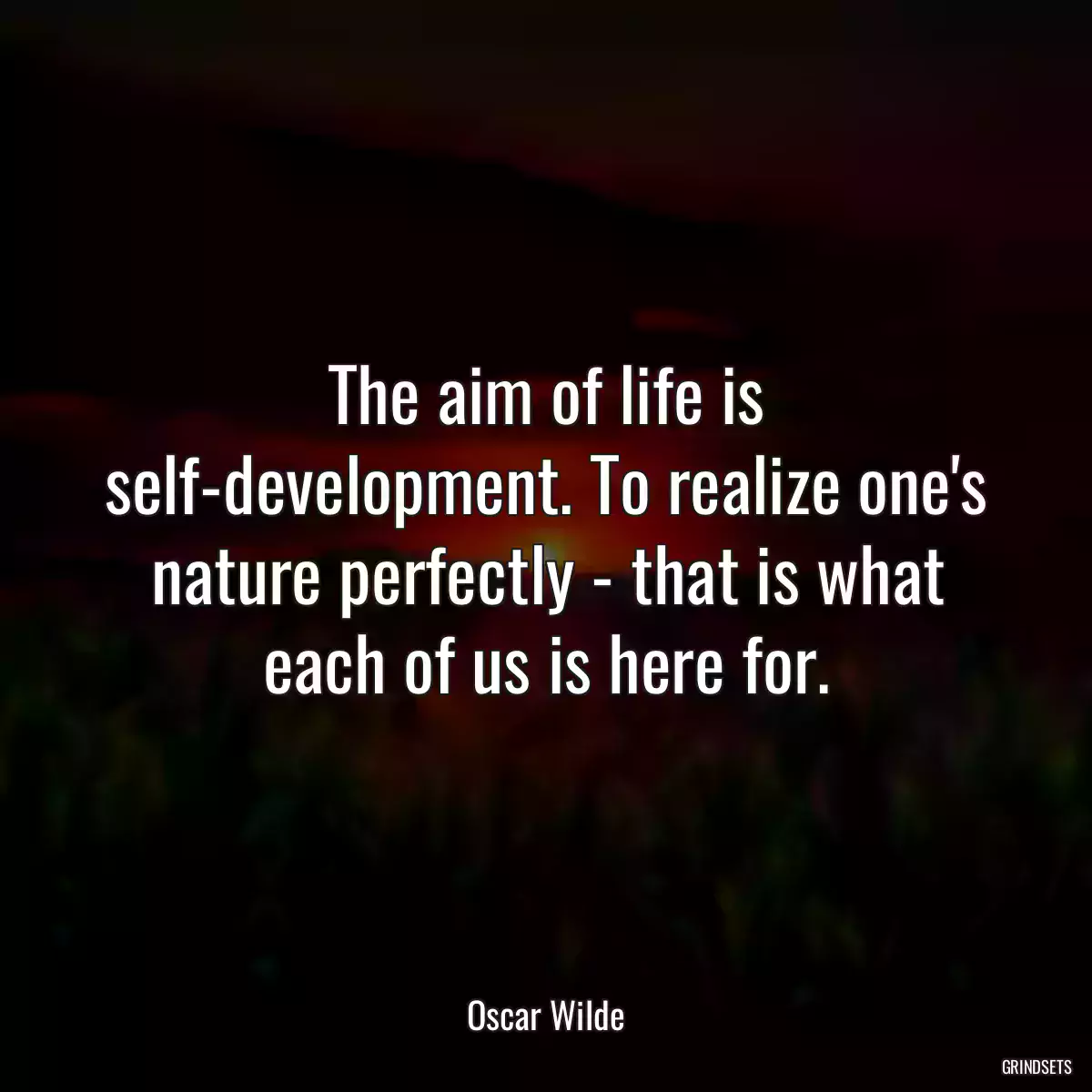 The aim of life is self-development. To realize one\'s nature perfectly - that is what each of us is here for.