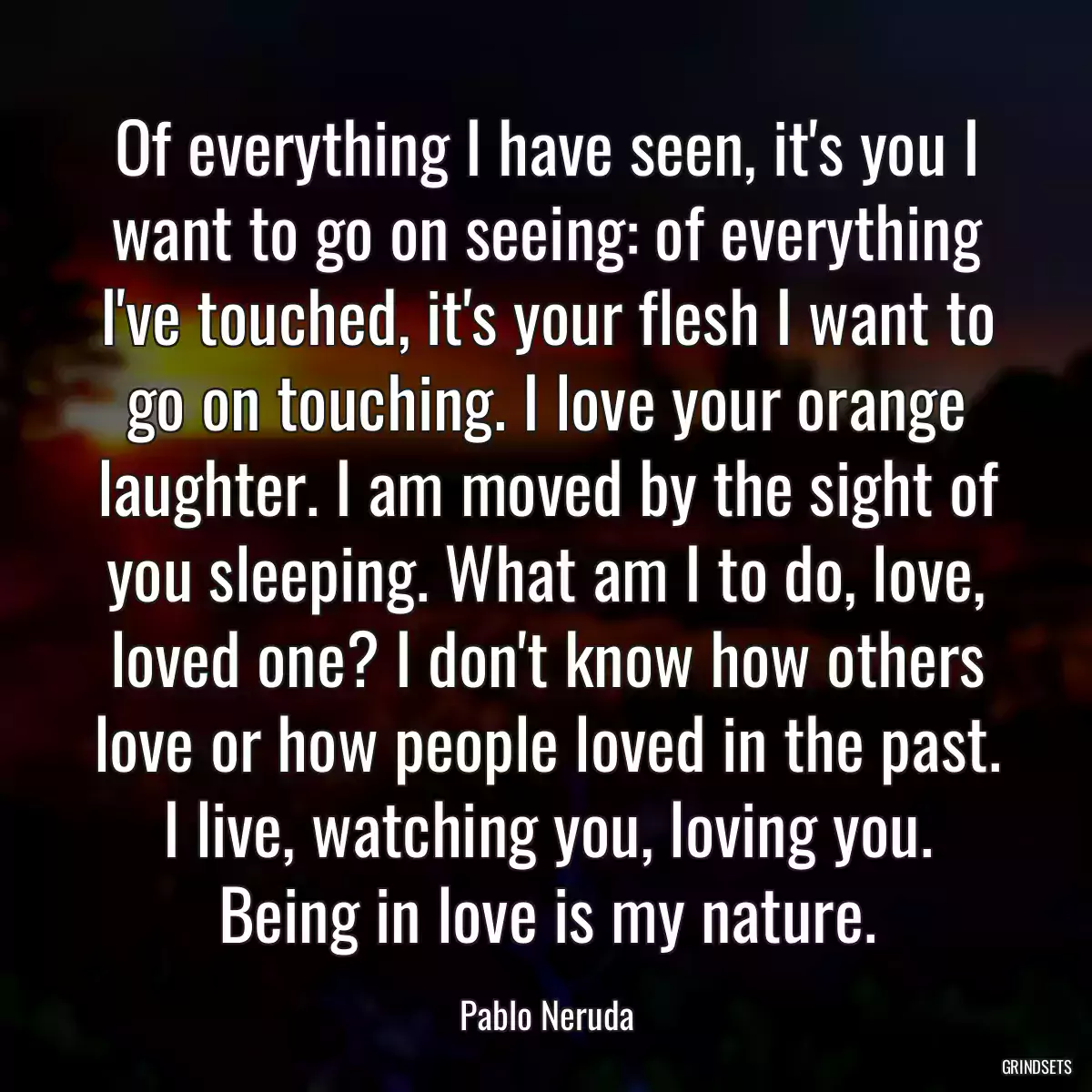 Of everything I have seen, it\'s you I want to go on seeing: of everything I\'ve touched, it\'s your flesh I want to go on touching. I love your orange laughter. I am moved by the sight of you sleeping. What am I to do, love, loved one? I don\'t know how others love or how people loved in the past. I live, watching you, loving you. Being in love is my nature.