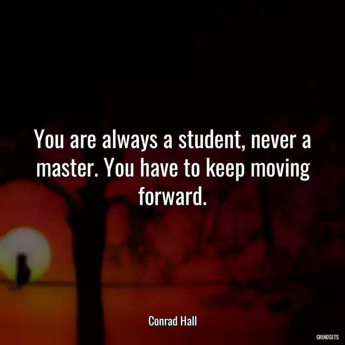 You are always a student, never a master. You have to keep moving forward.