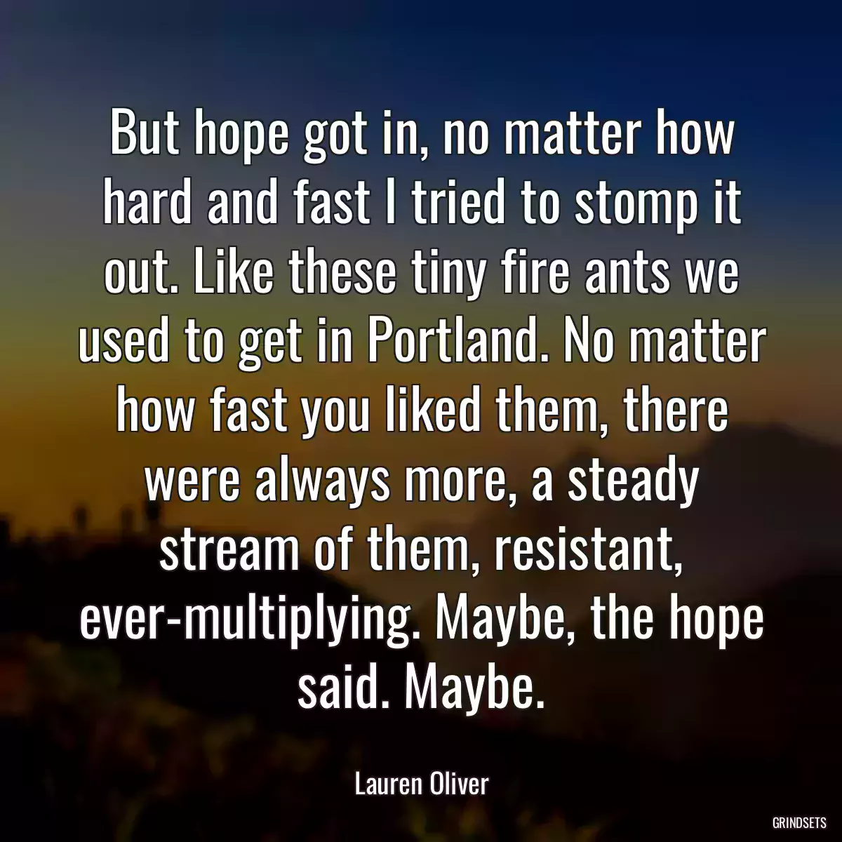 But hope got in, no matter how hard and fast I tried to stomp it out. Like these tiny fire ants we used to get in Portland. No matter how fast you liked them, there were always more, a steady stream of them, resistant, ever-multiplying. Maybe, the hope said. Maybe.