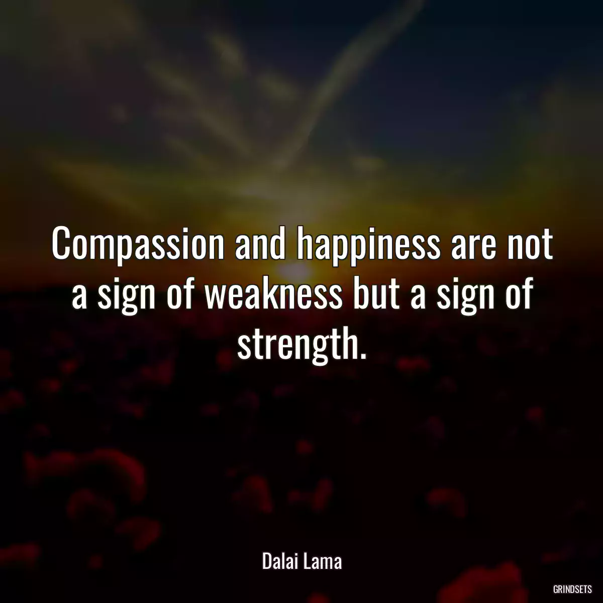 Compassion and happiness are not a sign of weakness but a sign of strength.