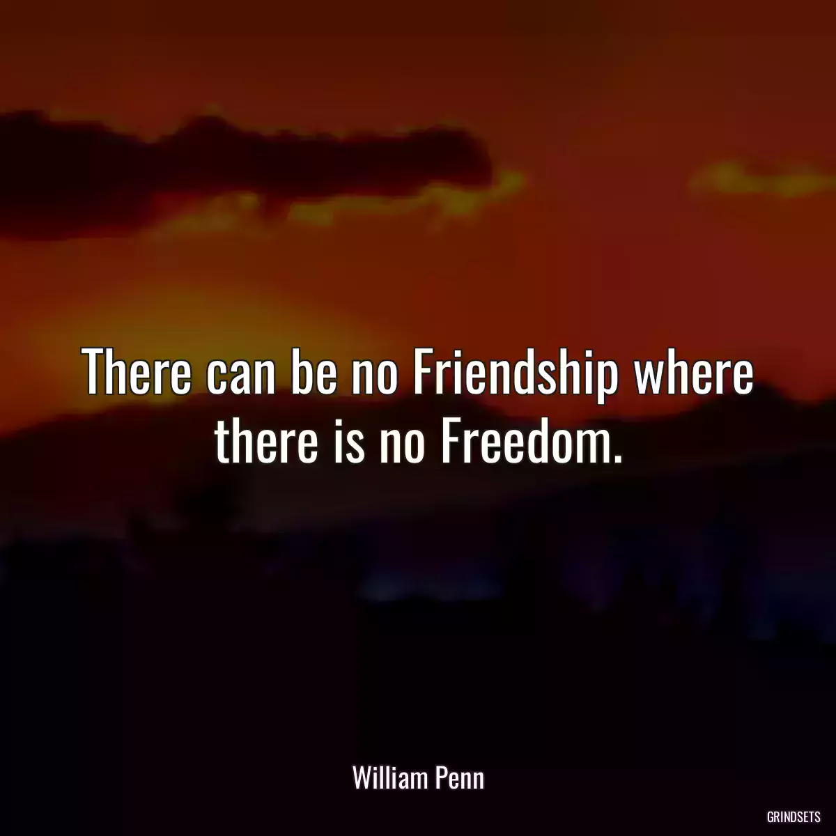 There can be no Friendship where there is no Freedom.