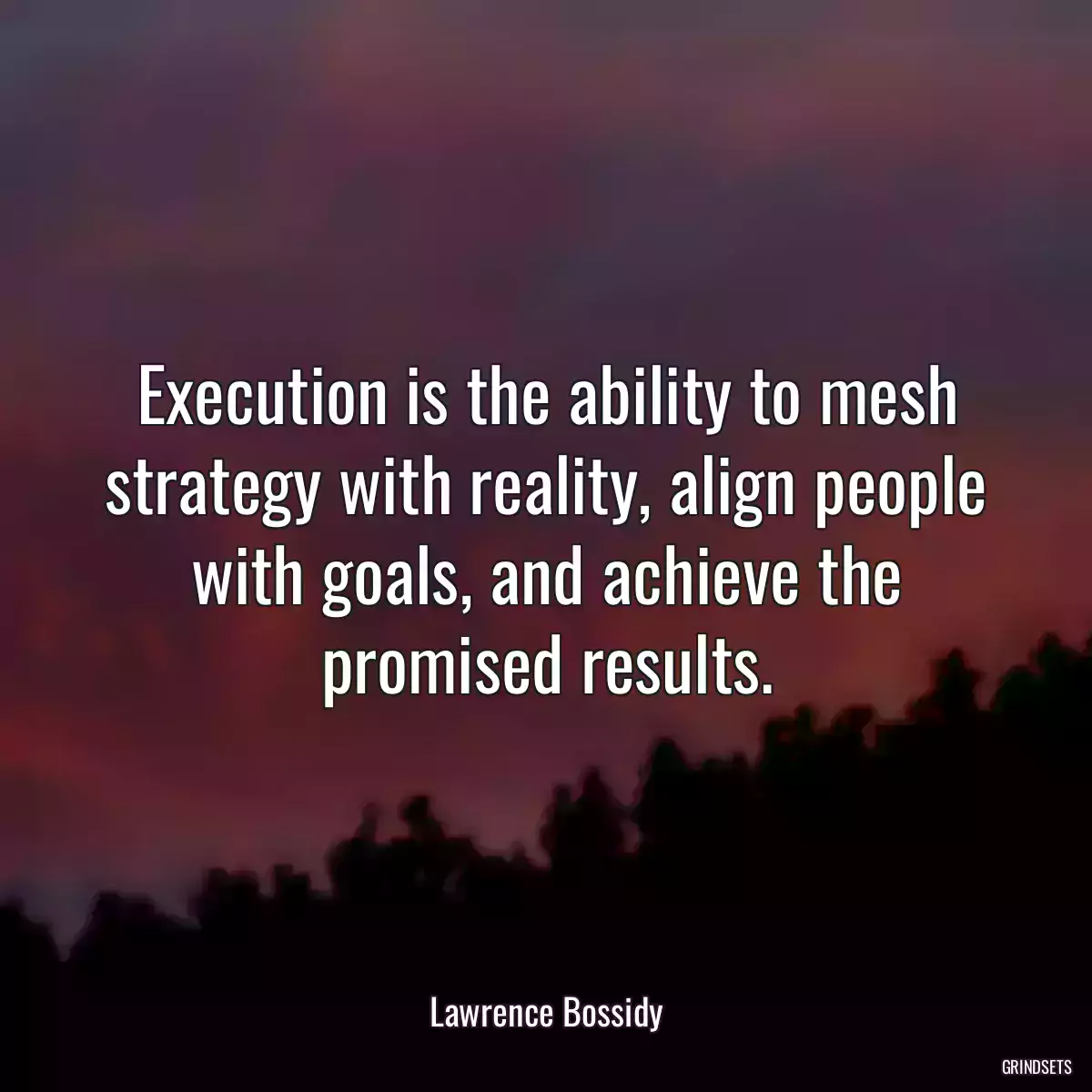 Execution is the ability to mesh strategy with reality, align people with goals, and achieve the promised results.