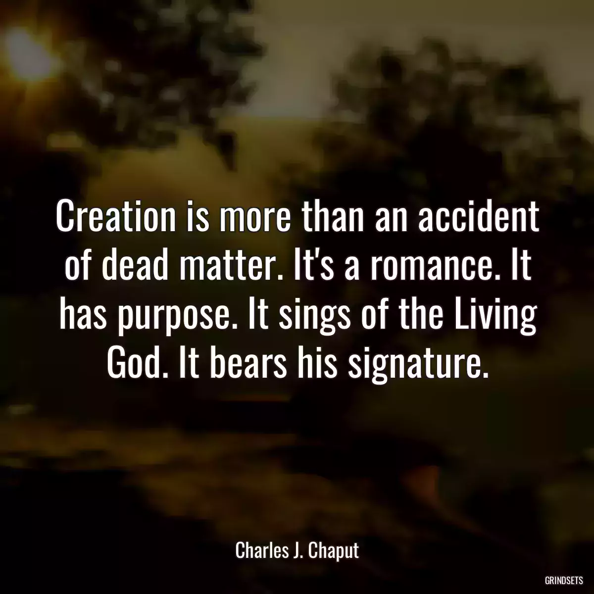 Creation is more than an accident of dead matter. It\'s a romance. It has purpose. It sings of the Living God. It bears his signature.