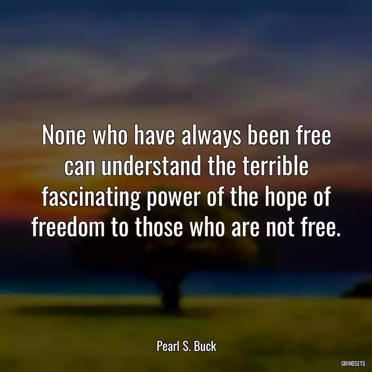 None who have always been free can understand the terrible fascinating power of the hope of freedom to those who are not free.