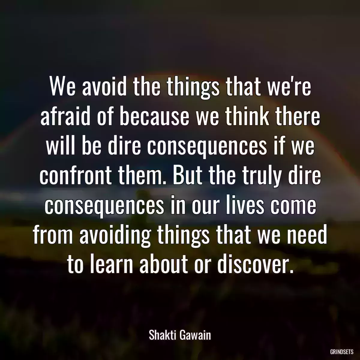 We avoid the things that we\'re afraid of because we think there will be dire consequences if we confront them. But the truly dire consequences in our lives come from avoiding things that we need to learn about or discover.