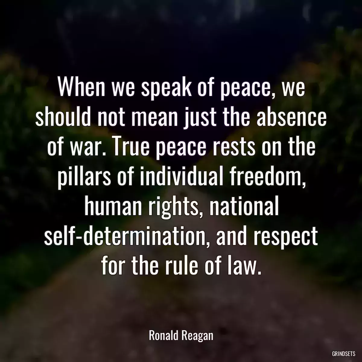 When we speak of peace, we should not mean just the absence of war. True peace rests on the pillars of individual freedom, human rights, national self-determination, and respect for the rule of law.