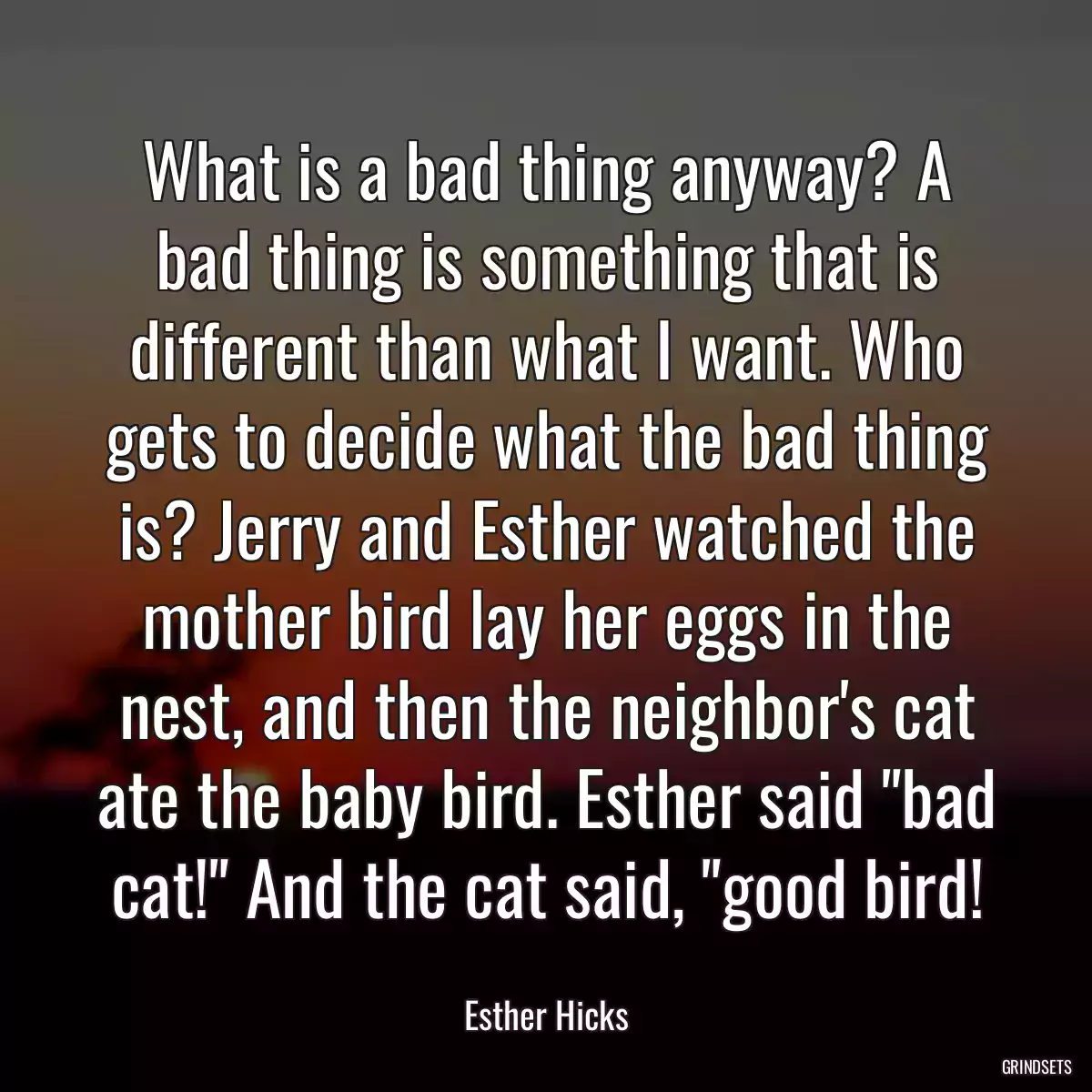 What is a bad thing anyway? A bad thing is something that is different than what I want. Who gets to decide what the bad thing is? Jerry and Esther watched the mother bird lay her eggs in the nest, and then the neighbor\'s cat ate the baby bird. Esther said \