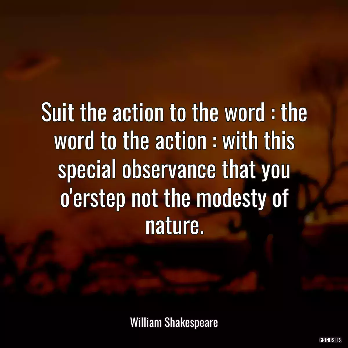 Suit the action to the word : the word to the action : with this special observance that you o\'erstep not the modesty of nature.