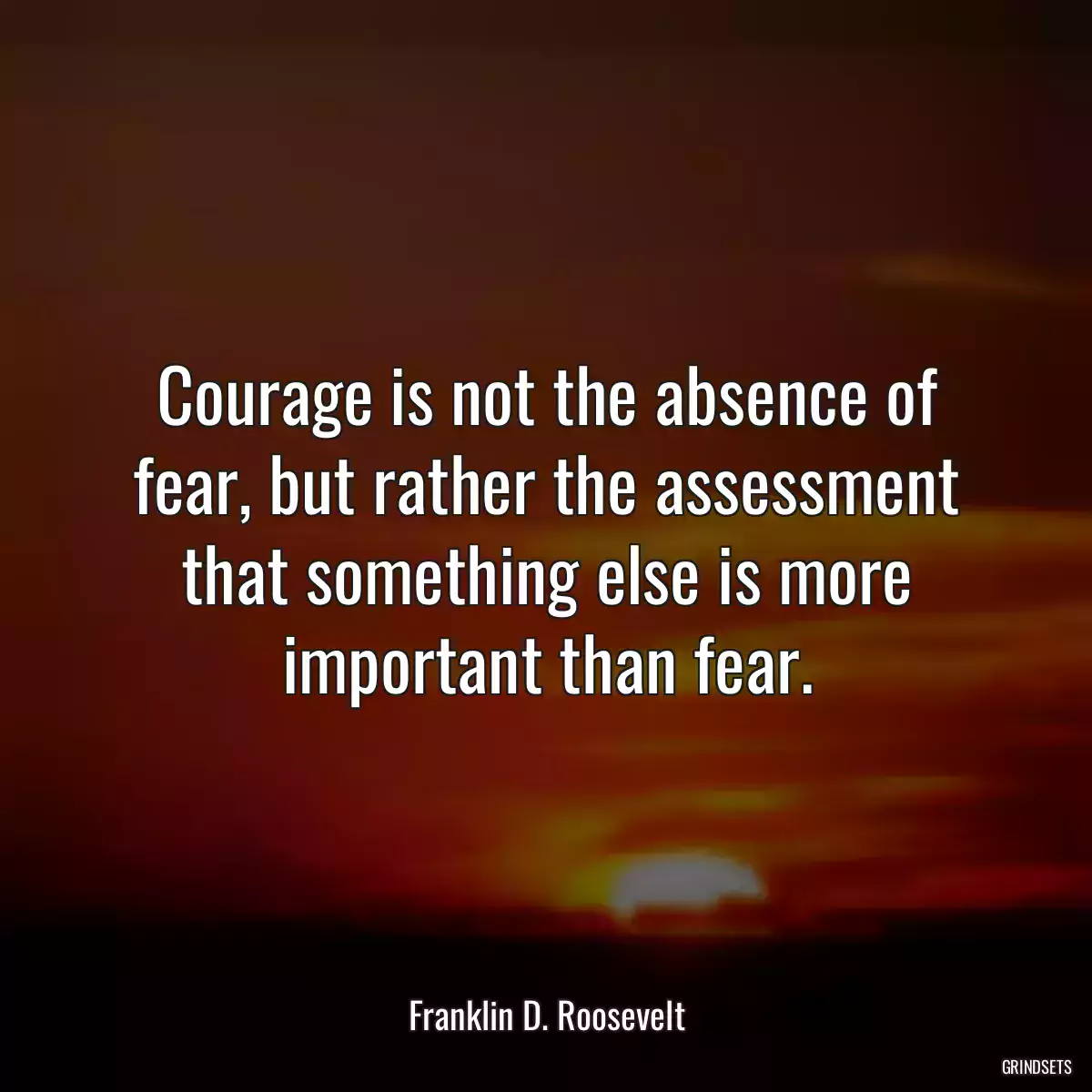 Courage is not the absence of fear, but rather the assessment that something else is more important than fear.