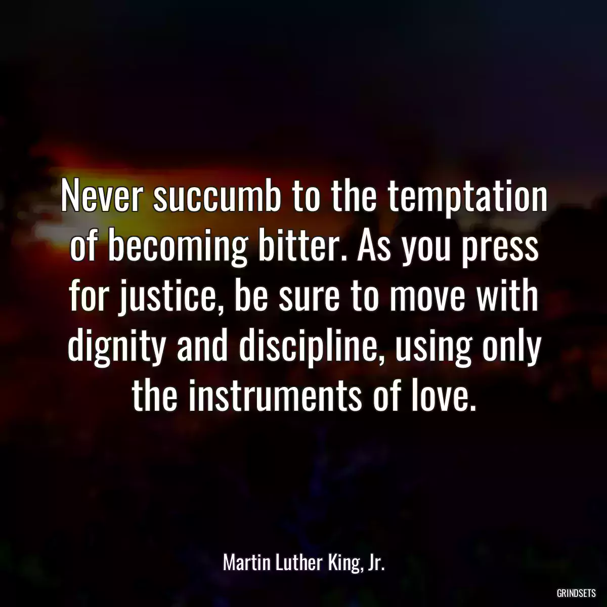 Never succumb to the temptation of becoming bitter. As you press for justice, be sure to move with dignity and discipline, using only the instruments of love.