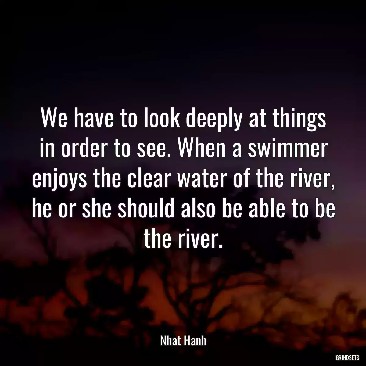 We have to look deeply at things in order to see. When a swimmer enjoys the clear water of the river, he or she should also be able to be the river.